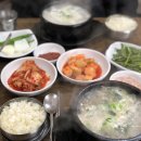 가마솥 순대국집 티스토리