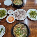 전주 뮤직얼티밋 페스타 | JUMF 2025 전주얼티밋뮤직페스티벌 2일차 후기