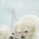 의구농장 이미지