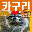 새롬PC방 이미지