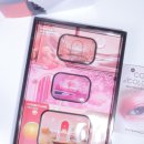 새롭게 선보인 NEW 커넥트 인 컬러 아이섀도우팔레트, 발색후기♥ (임베디드인버건디, 로즈렌즈, 퓨플레임)