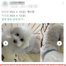 하나로 동물병원 이미지