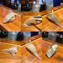 원스시 | 산본 이오스시 1인 5만원 스시 오마카세 내돈내산 솔직후기