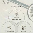 오르센 네이버블로그
