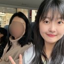 호주여행🇦🇺] 7일차 : 멜버른 (줌줌투어 퍼핑빌리, 필립아일랜드 펭귄 퍼레이드, 마루 동물원 - 땡스투어)
