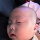 애니카랜드 경남고성점 | 경남 고성 옥수온천캠핑 5개월 아이랑 첫 카라반여행 성공적♡