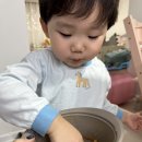 아이와 함께 유럽식 홈베이킹 | 다이소 전동 휘핑기로 아빠 생일 케이크 만들기 (35개월 아이와 홈베이킹 후기)