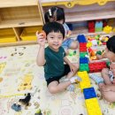 닭장 속에는 암탉이 ~~ 꼬끼오🐔🐤 이미지