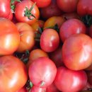 열매농장 이미지