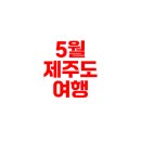 미상전자 | 제주도 여행지 추천 5월 필수 관광지는?