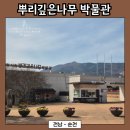 순천시립뿌리깊은나무박물관 | [전남 - 순천] 순천 시립 뿌리깊은나무박물관🏛️