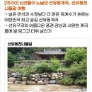 8월23일(수) [1만원상품권]문경 선유동계곡+돌리네습지(전동차)박열열사기념관, 점촌빵집길투어문경5일장 당일여행 공지 이미지