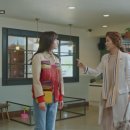 참동물병원 이미지