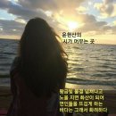 희망