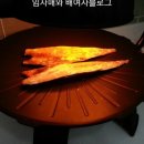 자이글 이미지
