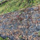 당곡농장 이미지