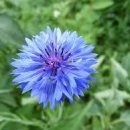 (주)수레 이미지