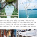 청학소풍 이미지