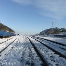 통리주유소 이미지