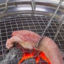 태원수산산곰장어 이미지