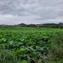 안산화랑오토캠핑장 이미지