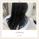 시온헤어샵 - 성남시 중원구 | 시온헤어샵