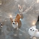 멍이와쿤이 이미지