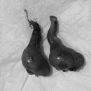 아마존 동물병원 이미지