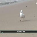 두딩 네이버블로그