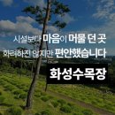 신기수목장 네이버블로그