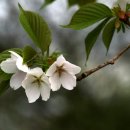 솔기아파트 이미지