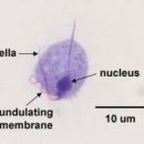 백마성동한의원 이미지