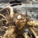 골짜기농장 이미지