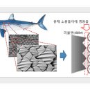 【 수영 】수영 황제 펠프스도 궁금해하는 전신 수영복의 비밀 이미지