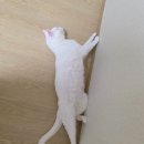 경기도 수원시 팔달구 아주로, 월드컵로 | 26년 첫 월간 일기. 1월