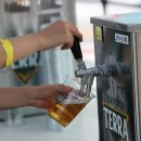 별빛사냥 이미지