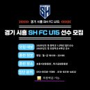 경기 시흥 SH FC U15 선수 모집 합니다 이미지