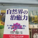 일본의 벌침요법 서적인 "자연계의 치유력" 이미지