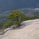 재일농원 이미지