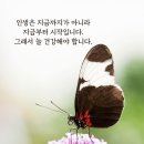 이모네설렁탕 이미지