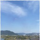 슬기로운부동산공인중개사사무소 네이버블로그