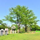 유당공원 내 비군 이미지