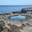 신도연못 옆 이미지