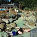 고유종농장 이미지