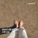 금성컴퓨터 | 월간 감사행성 후 CGV 고덕강일점 천만영화가 될 것 같은 <왕과사는 남자> 관람 후기