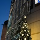 배불뚝곱창 이미지