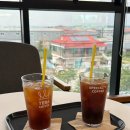 궁평항 대형 카페 테라커피 화성매향점 주차 편함