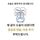 유기농야채 | 바쁜 아침 3분 완성, 다이소 하루한포 유기농 야채분말 공복 섭취 후기