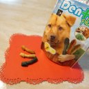 참플러스 덴탈 이미지