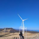 힐링힐 | 강원도 평창 가볼만한 곳 11월 겨울 힐링여행 삼양라운드힐 방문후기 입장료 포토존 양 타조 먹이주기...